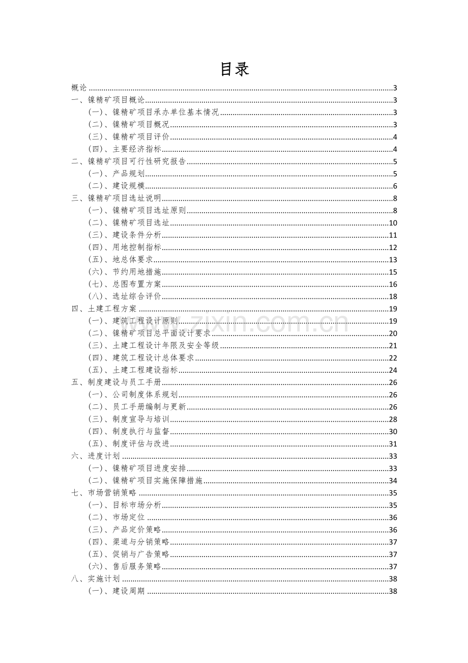镍精矿项目可行性研究报告.docx_第2页