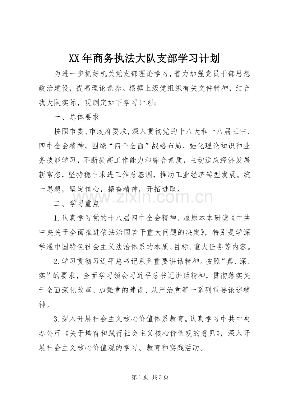 XX年商务执法大队支部学习计划.docx_第1页