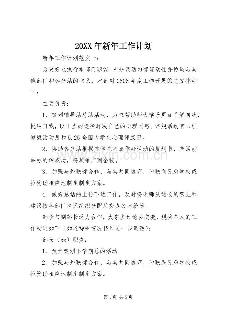 20XX年新年工作计划 .docx_第1页