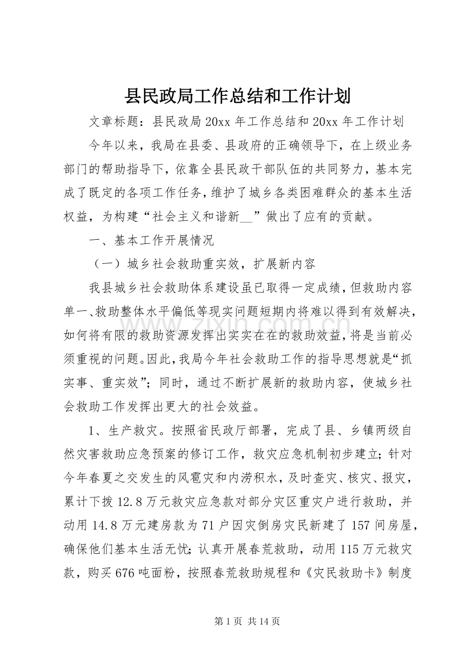 县民政局工作总结和工作计划.docx_第1页