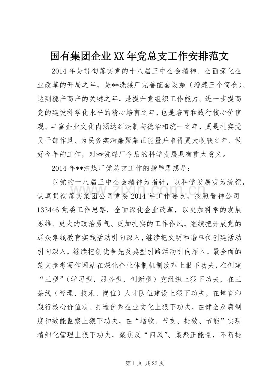 国有集团企业XX年党总支工作安排范文.docx_第1页