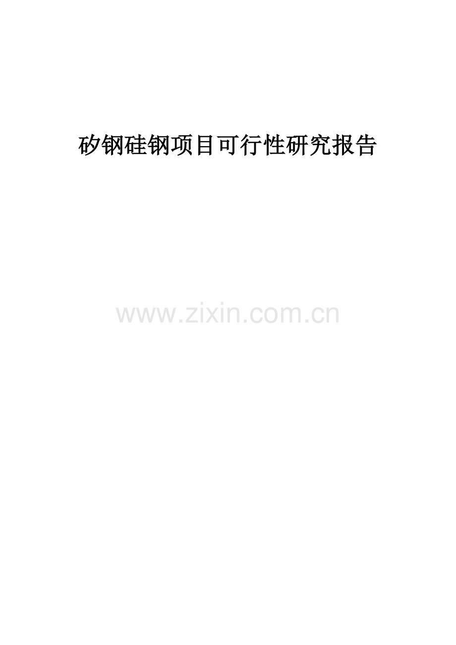 矽钢硅钢项目可行性研究报告.docx_第1页
