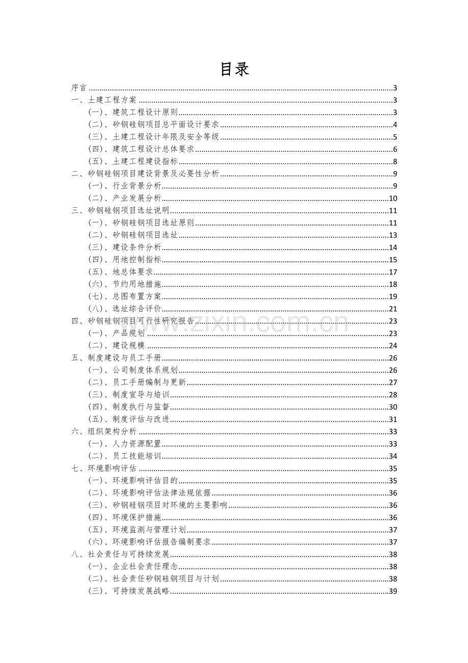 矽钢硅钢项目可行性研究报告.docx_第2页