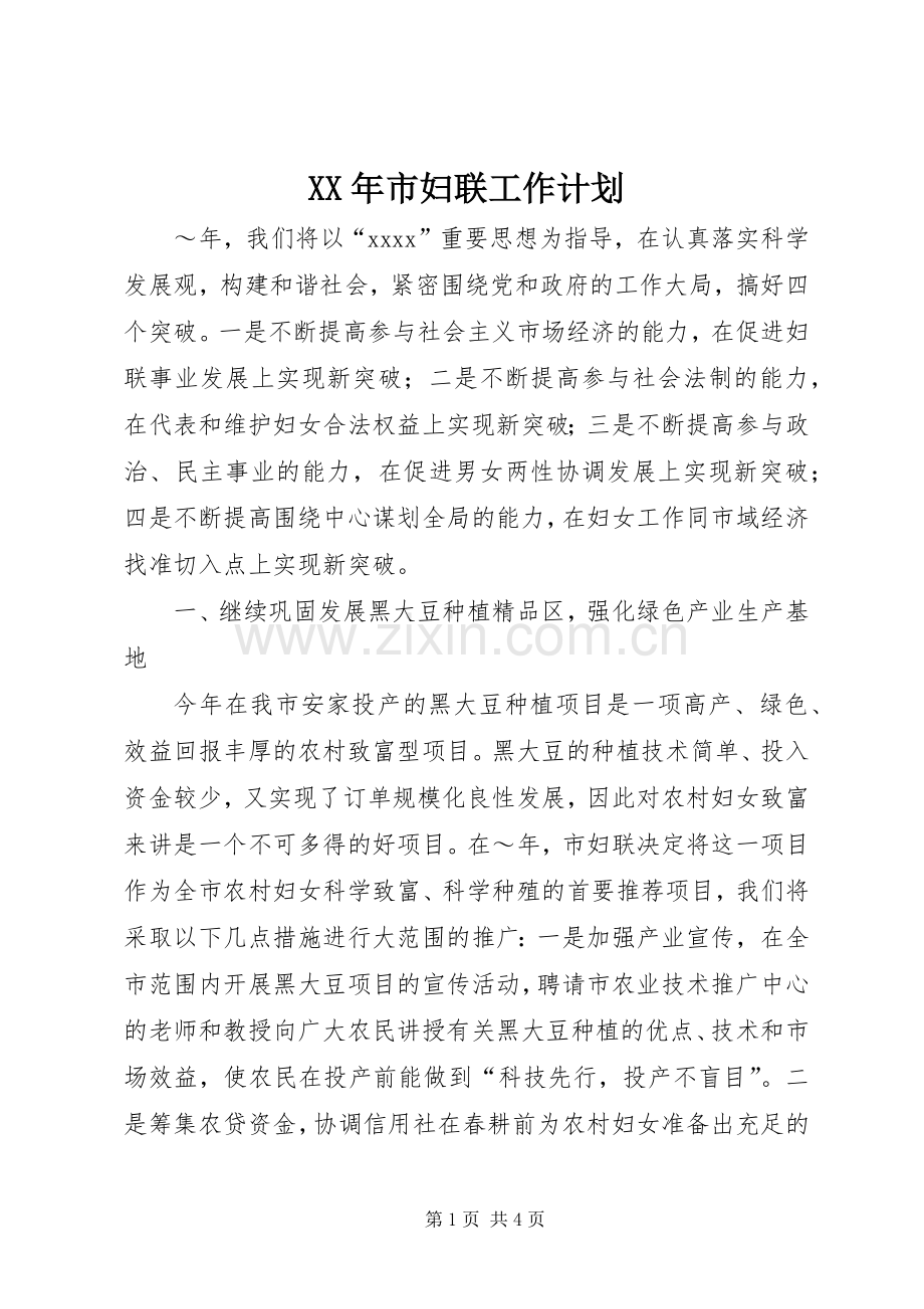 XX年市妇联工作计划.docx_第1页