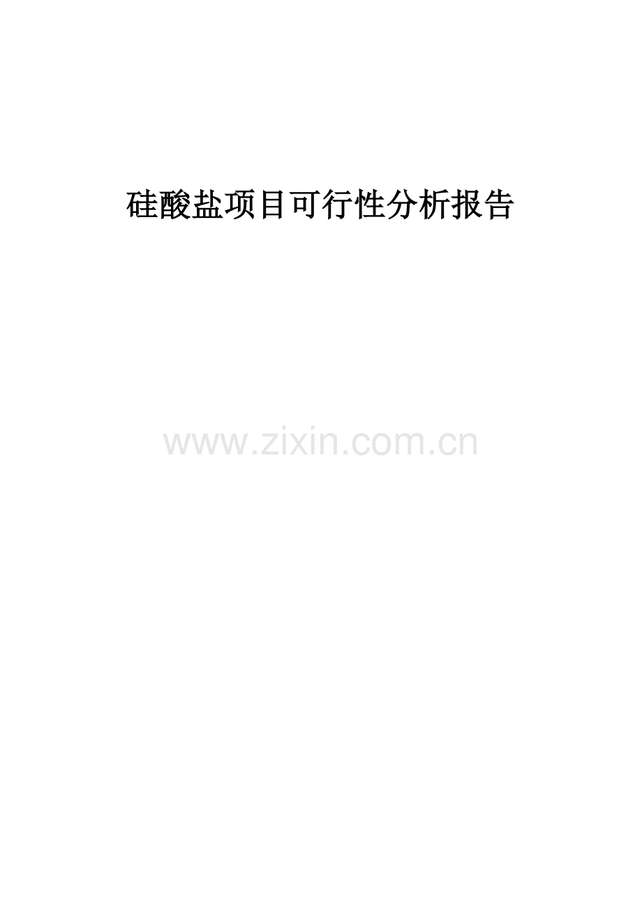 硅酸盐项目可行性分析报告.docx_第1页