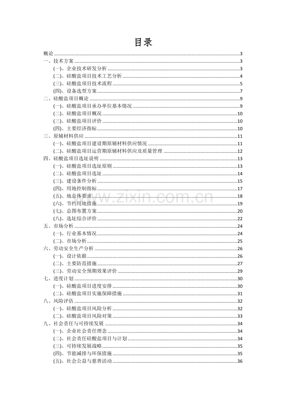硅酸盐项目可行性分析报告.docx_第2页