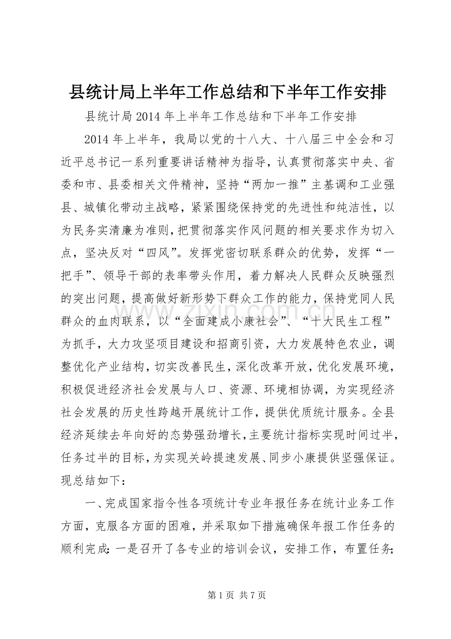 县统计局上半年工作总结和下半年工作安排.docx_第1页