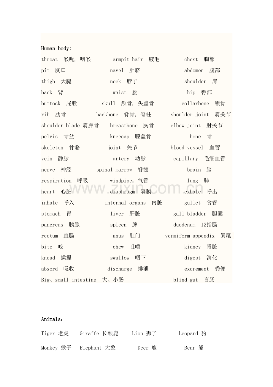 人体部位及水果单词.doc_第2页