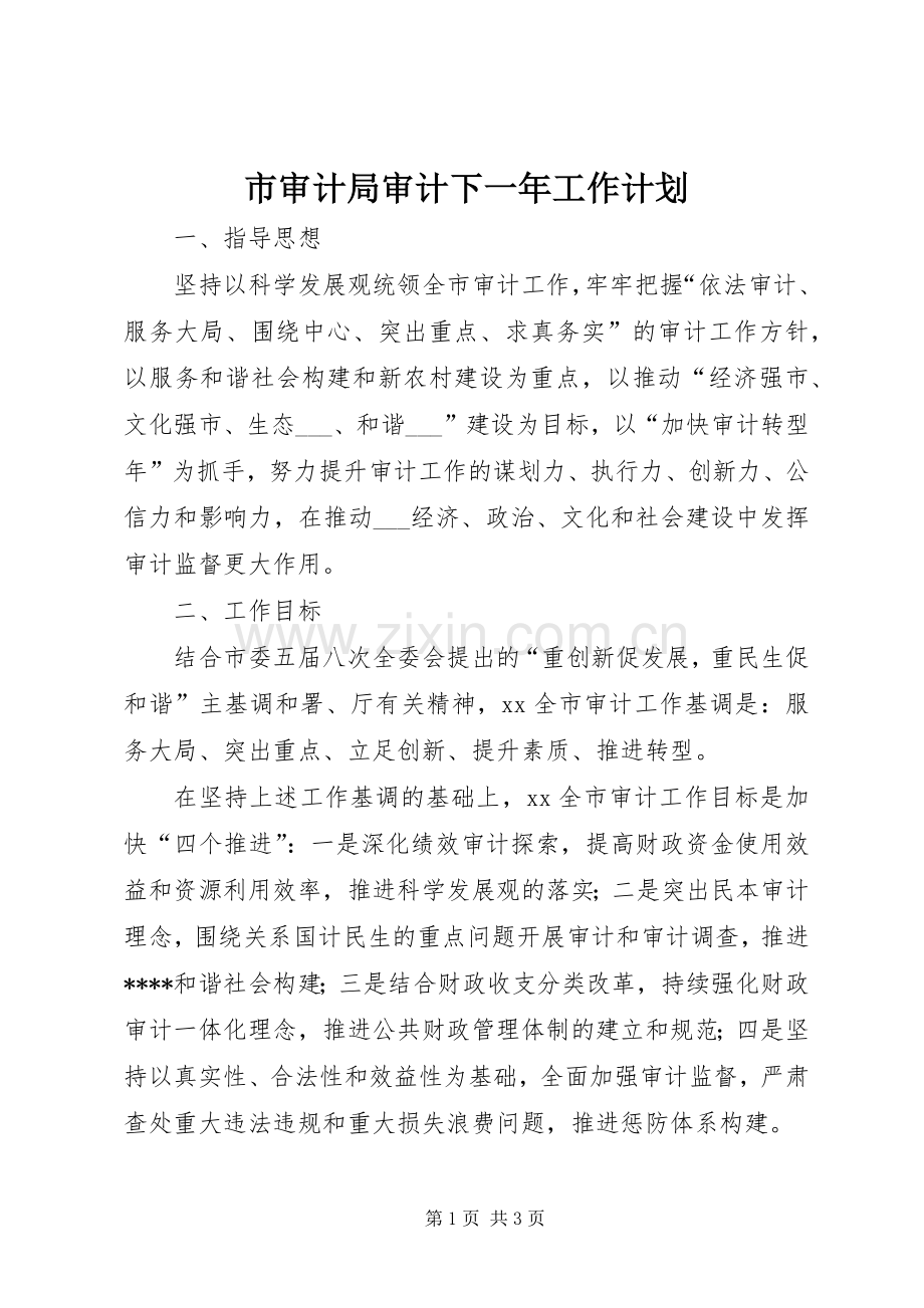 市审计局审计下一年工作计划.docx_第1页