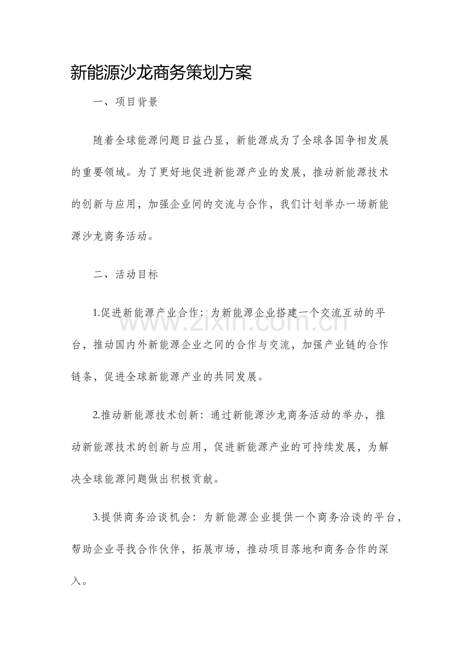 新能源沙龙商务策划方案.docx_第1页