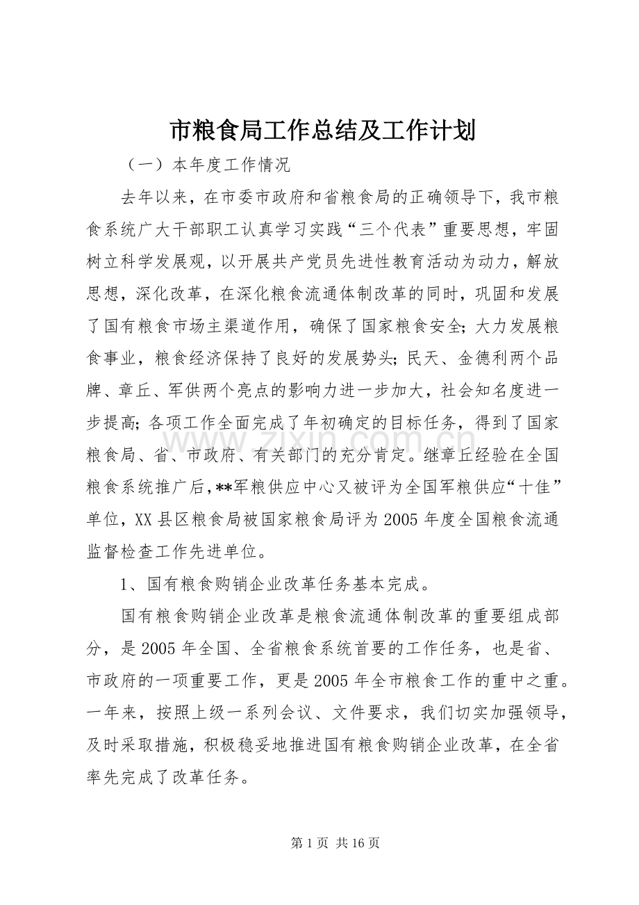 市粮食局工作总结及工作计划 .docx_第1页
