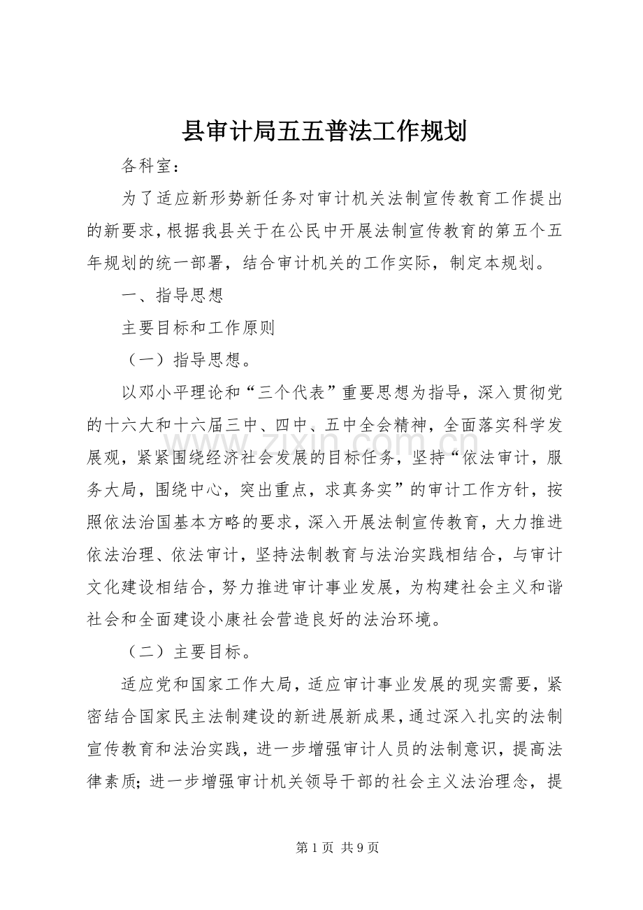 县审计局五五普法工作规划.docx_第1页