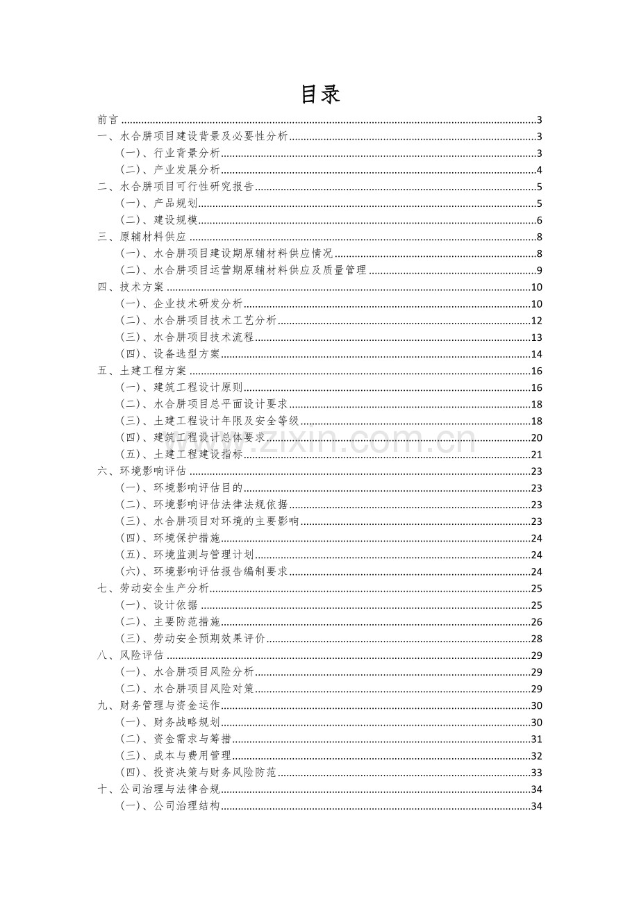 水合肼项目可行性分析报告.docx_第2页