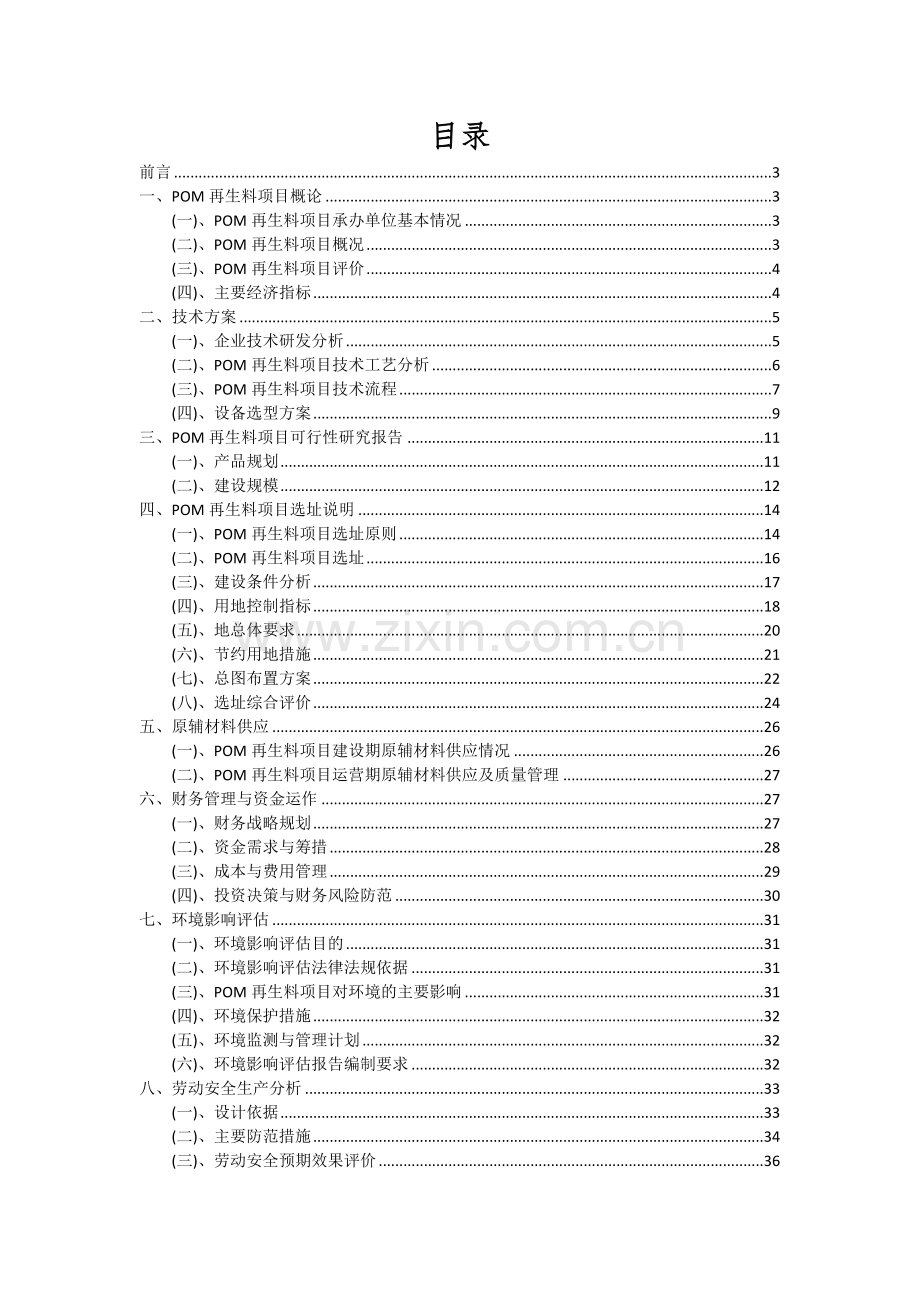 POM再生料项目可行性研究报告.docx_第2页