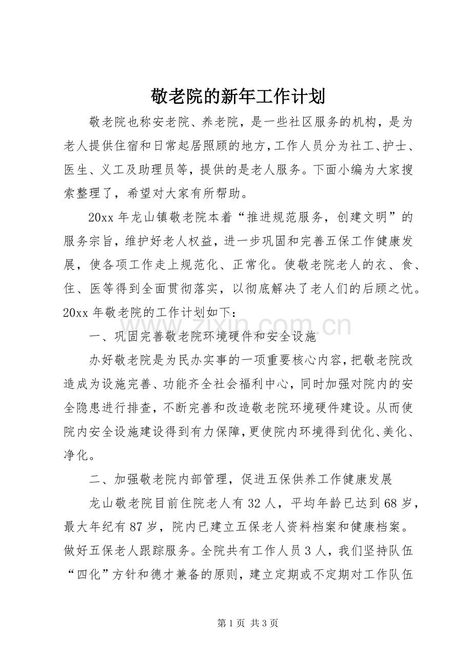敬老院的新年工作计划 .docx_第1页