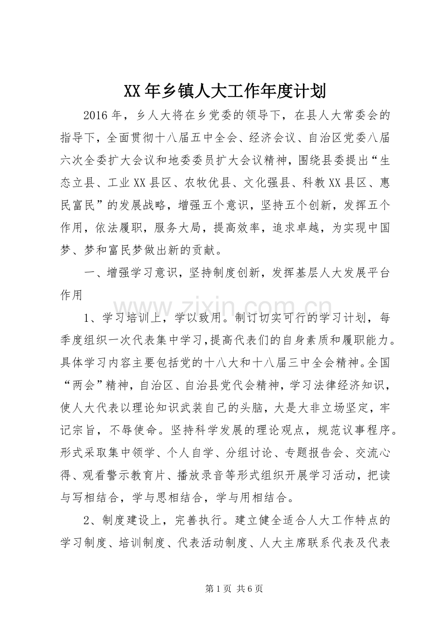 XX年乡镇人大工作年度计划.docx_第1页
