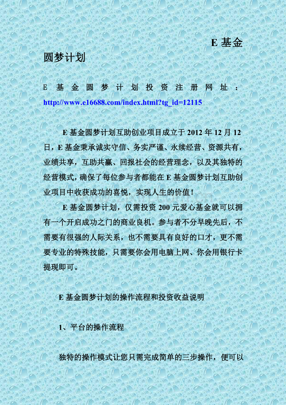 E基金圆梦计划.doc_第1页
