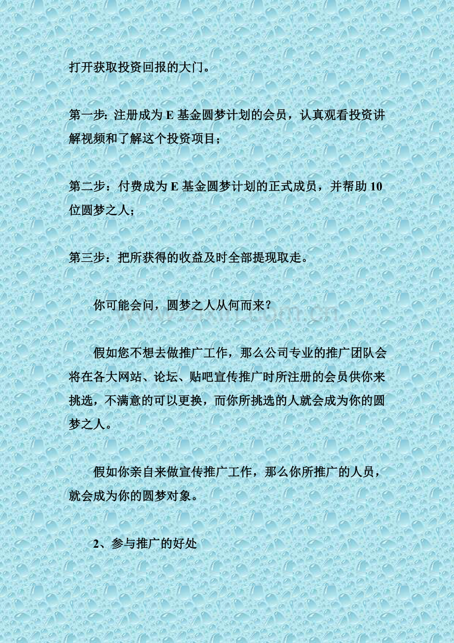E基金圆梦计划.doc_第2页