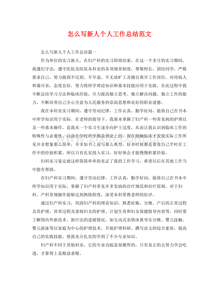 怎么写新人个人工作总结范文 .docx_第1页