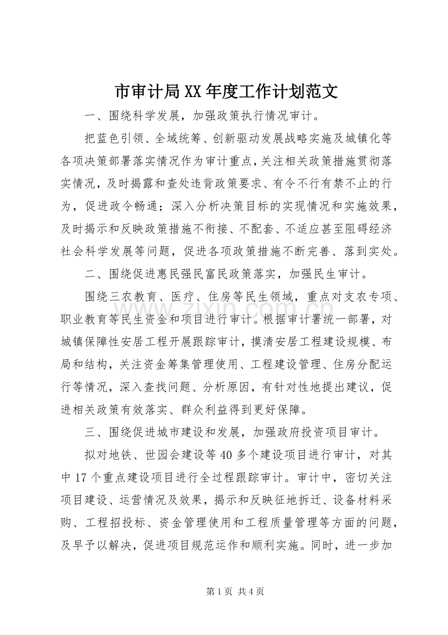 市审计局XX年度工作计划范文.docx_第1页