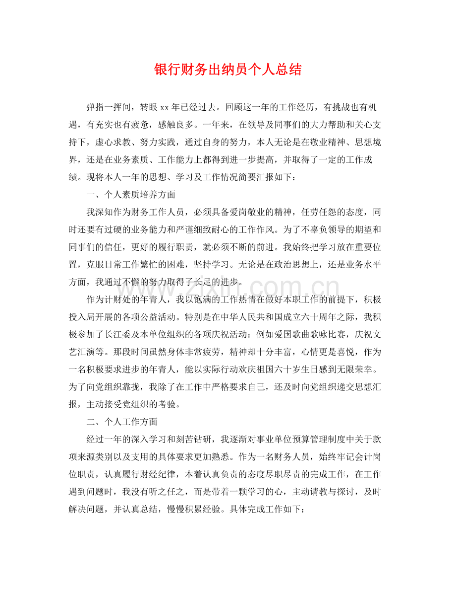 银行财务出纳员个人总结 .docx_第1页