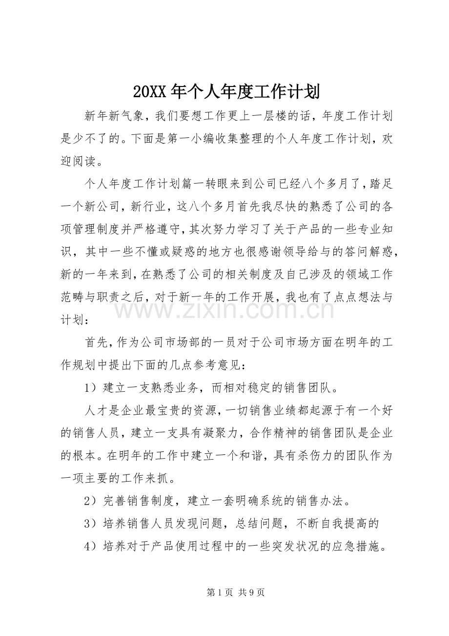 20XX年个人年度工作计划 .docx_第1页