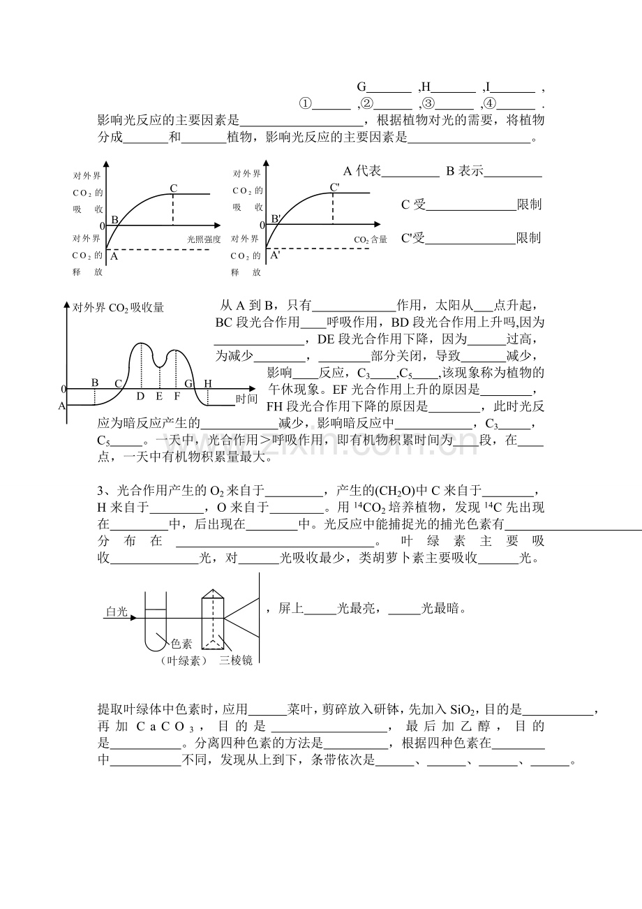 呼吸作用、光合作用.doc_第2页
