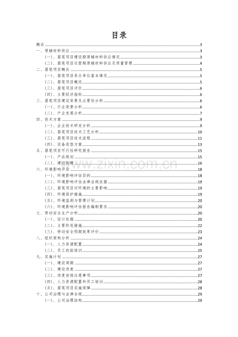 眉笔项目可行性分析报告.docx_第2页