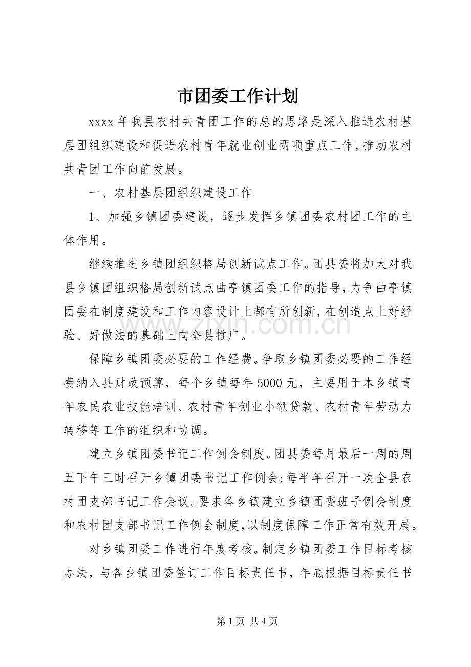 市团委工作计划.docx_第1页