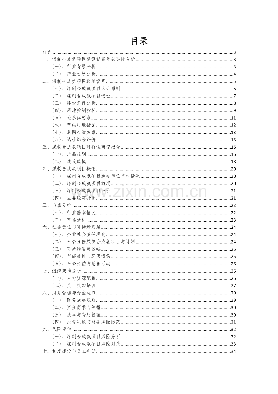 煤制合成氨项目可行性研究报告.docx_第2页