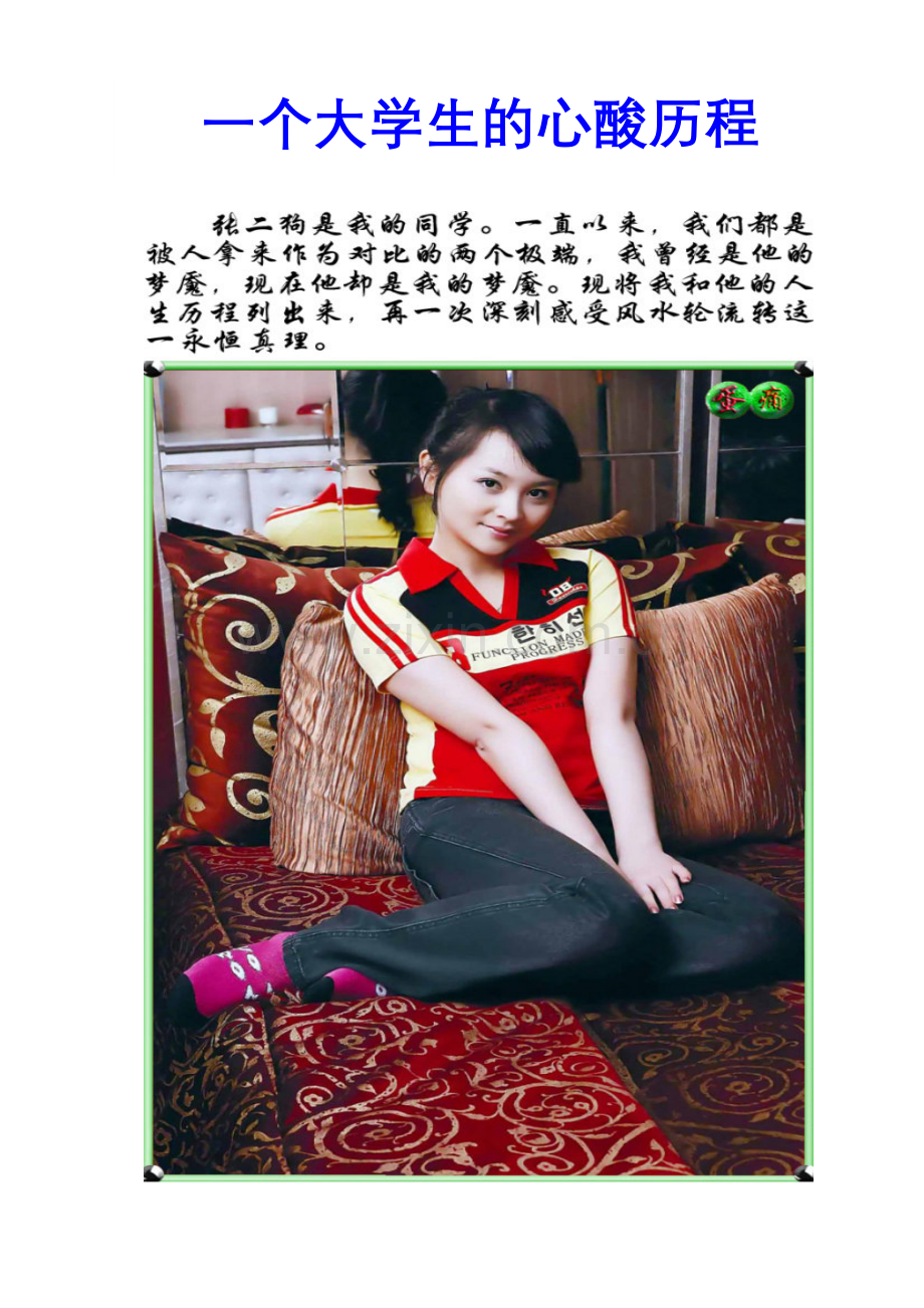 一个大学生的心酸历程.doc_第1页