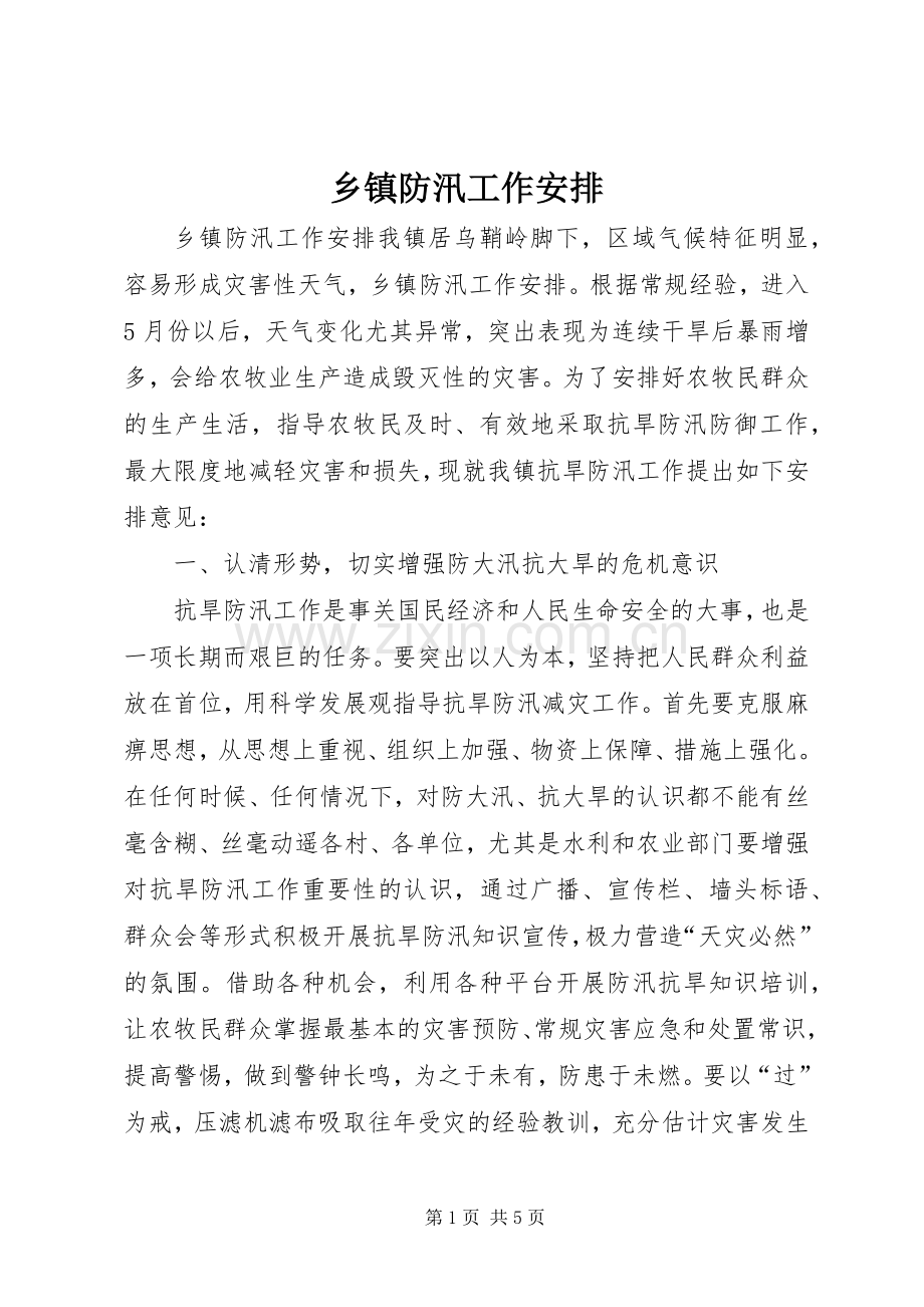 乡镇防汛工作安排.docx_第1页