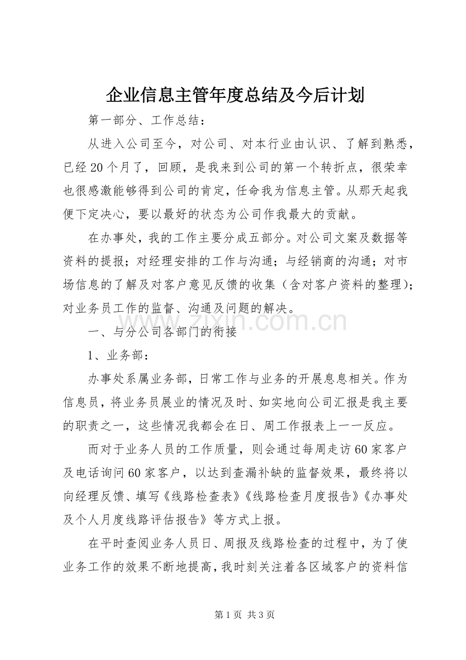企业信息主管年度总结及今后计划 .docx_第1页
