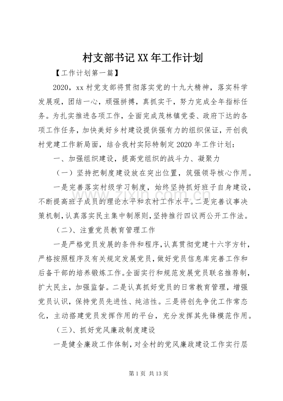 村支部书记XX年工作计划.docx_第1页