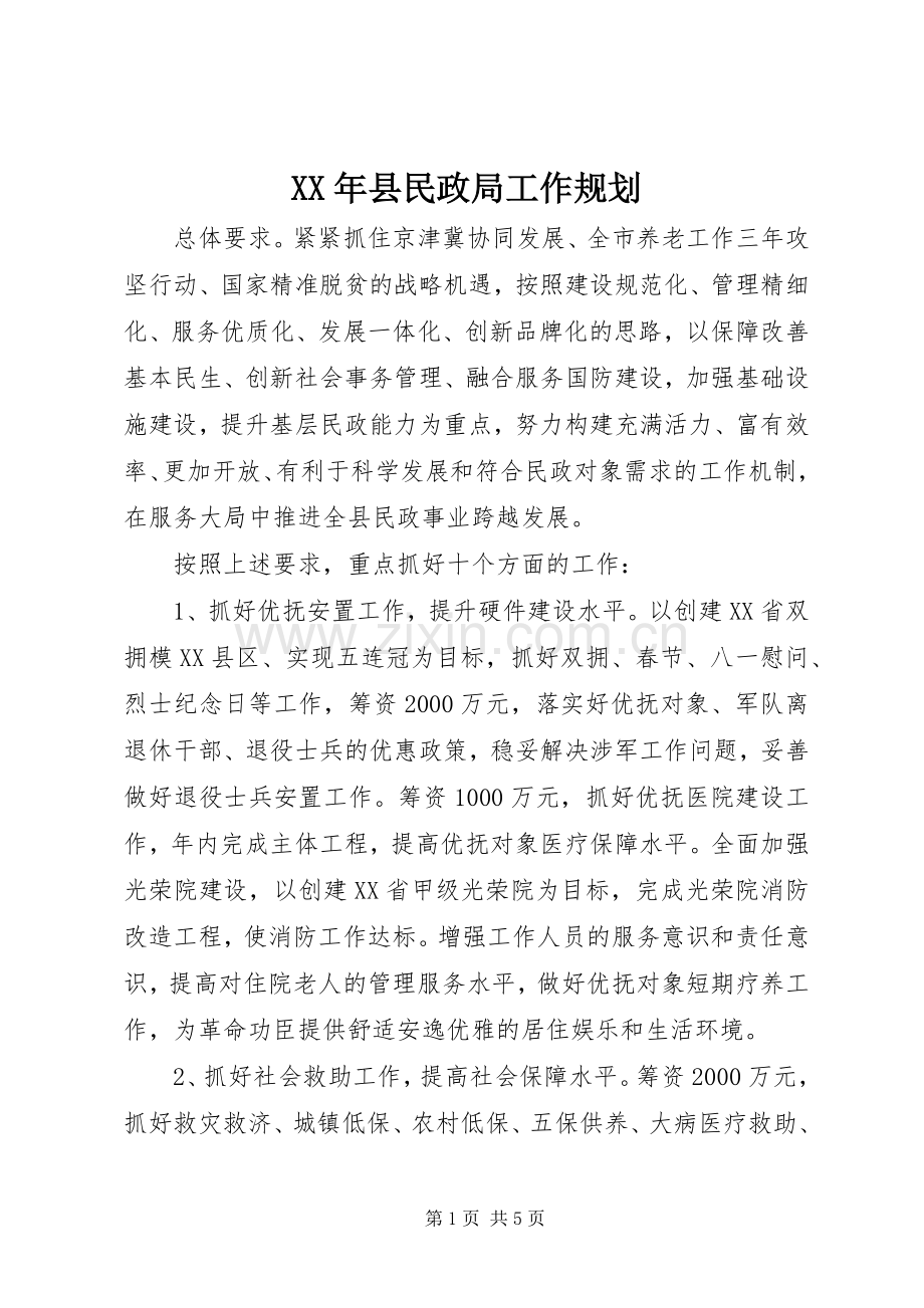 XX年县民政局工作规划.docx_第1页