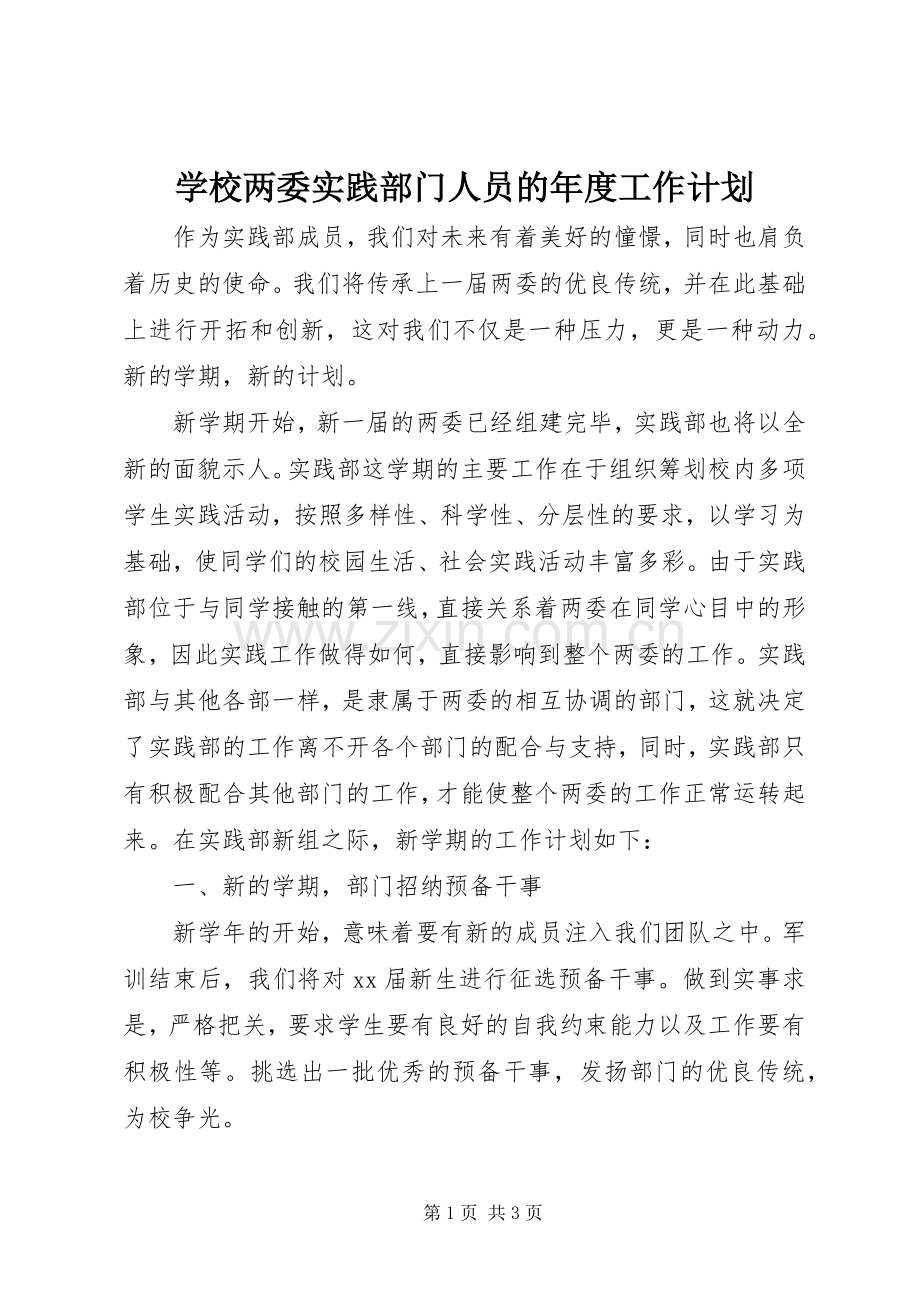 学校两委实践部门人员的年度工作计划.docx_第1页