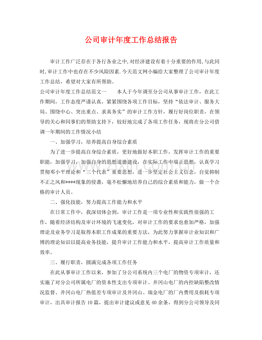 公司审计年度工作总结报告 .docx_第1页