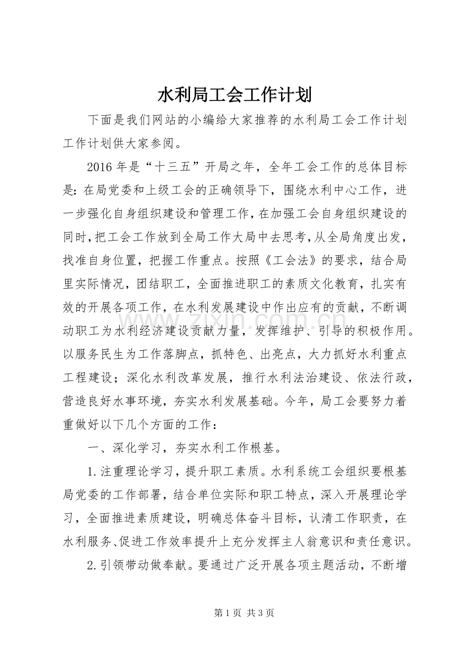 水利局工会工作计划.docx_第1页