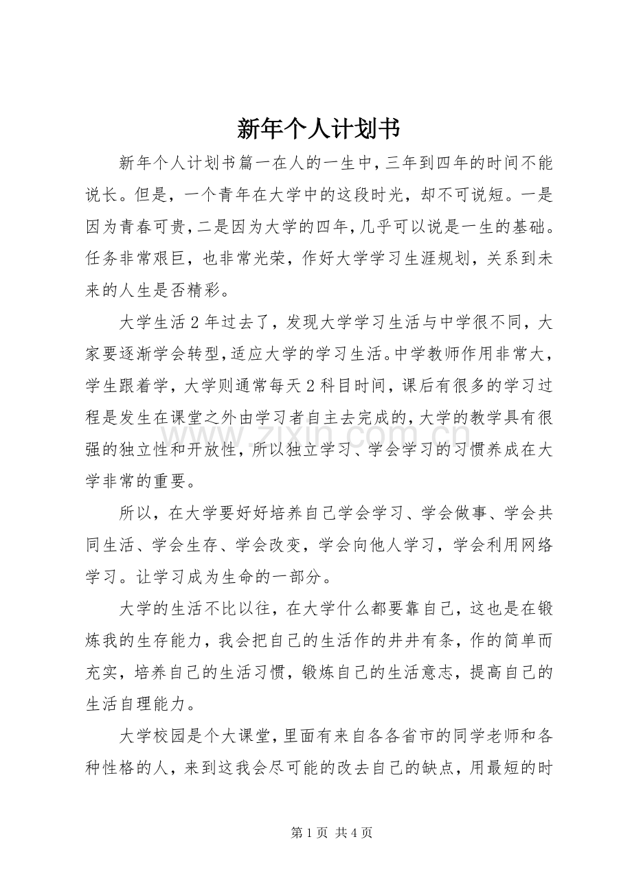 新年个人计划书 .docx_第1页