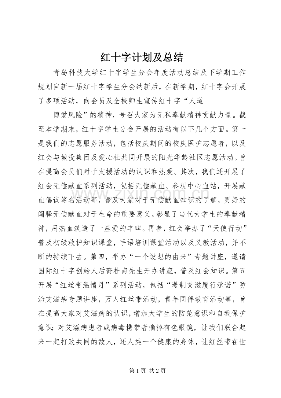 红十字计划及总结 .docx_第1页