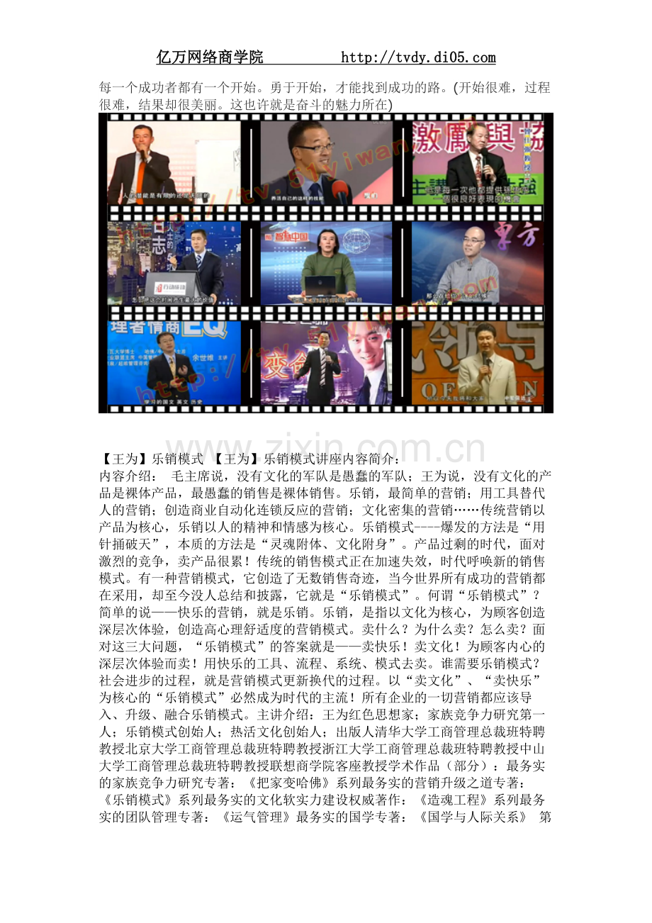王为乐销模式.doc_第1页