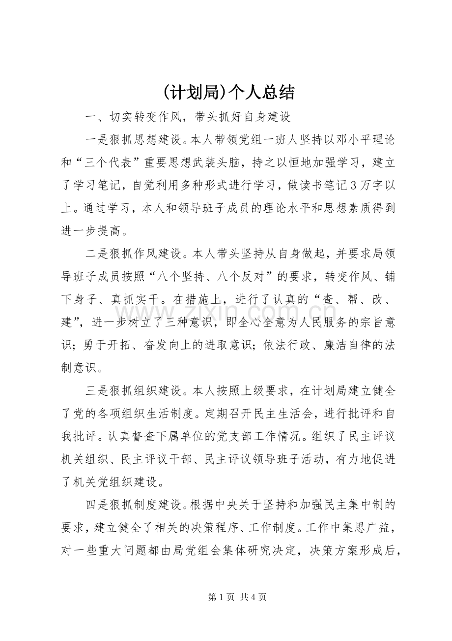 (计划局)个人总结.docx_第1页