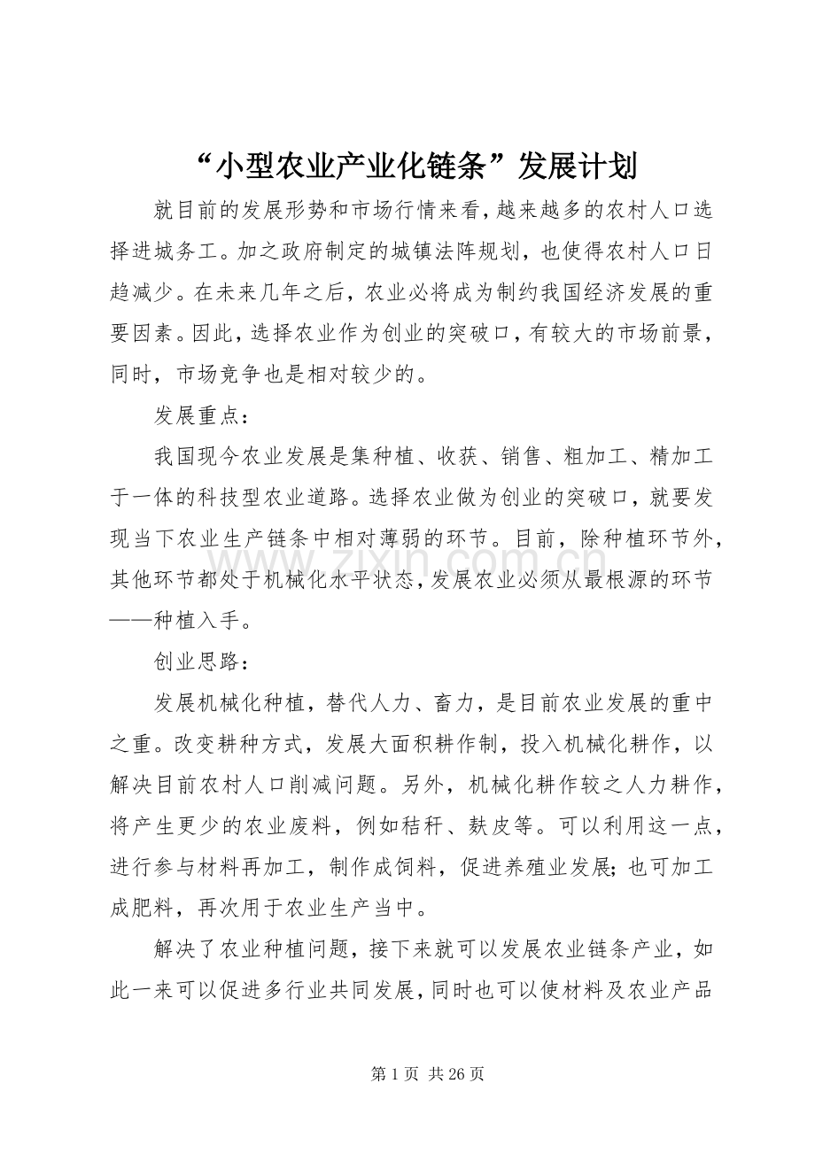 “小型农业产业化链条”发展计划_1.docx_第1页