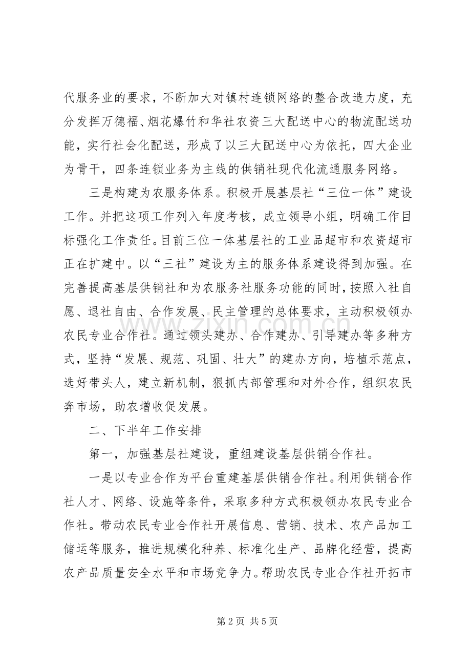 供销总社的上半年工作总结及下半年工作安排.docx_第2页