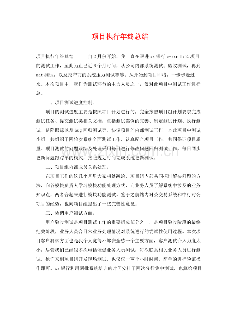 项目执行年终总结 .docx_第1页