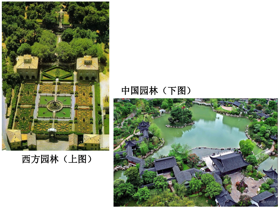 结业课(美国小学生及中国小学生区别辩论大赛).ppt_第1页