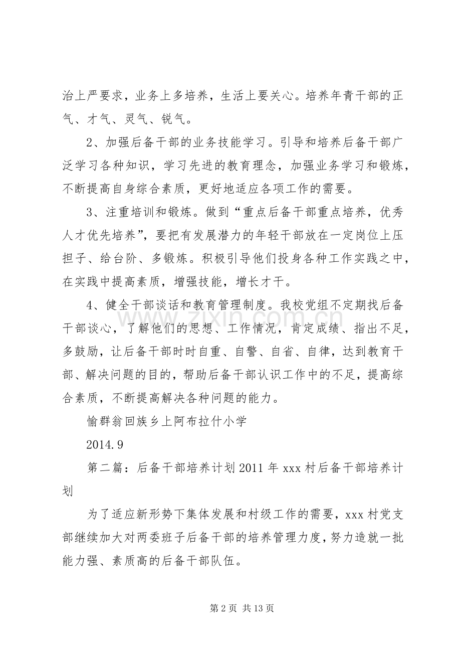 后备干部培养计划.docx_第2页