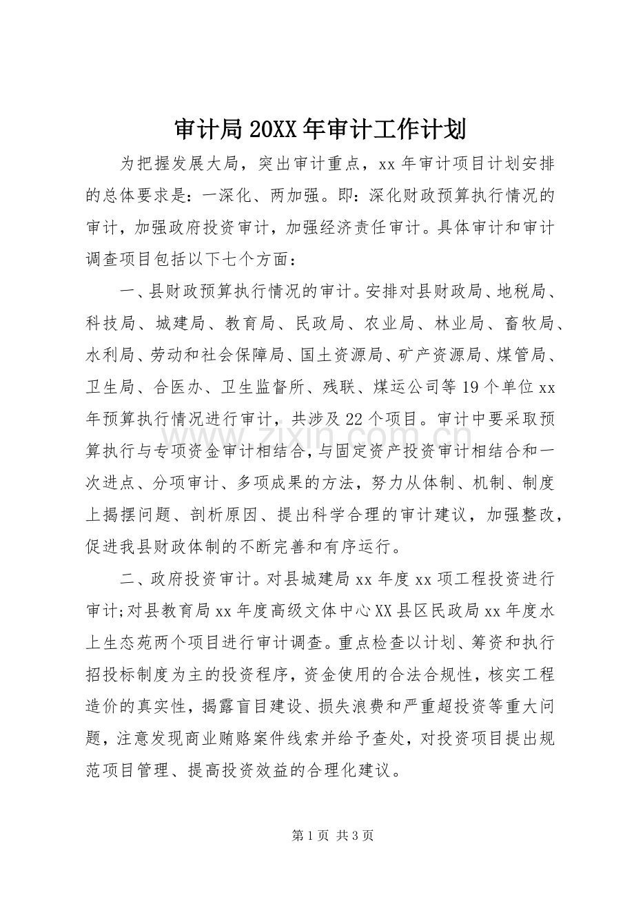 审计局20XX年审计工作计划.docx_第1页
