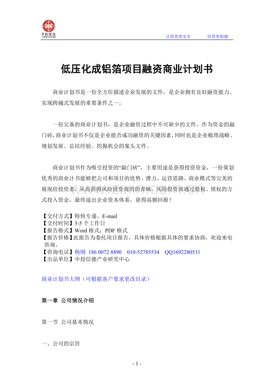 低压化成铝箔项目融资商业计划书.doc_第1页