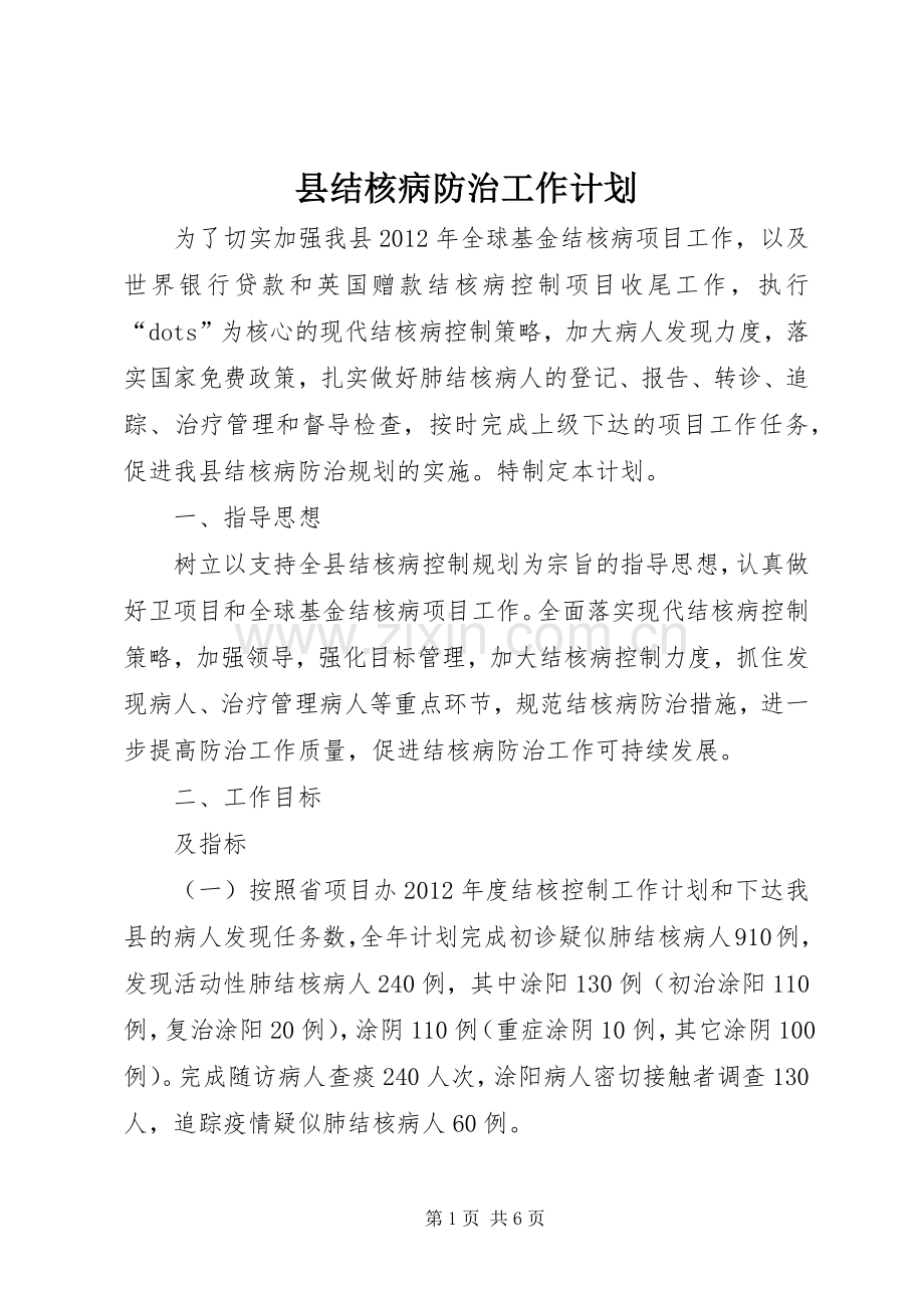 县结核病防治工作计划_1 .docx_第1页